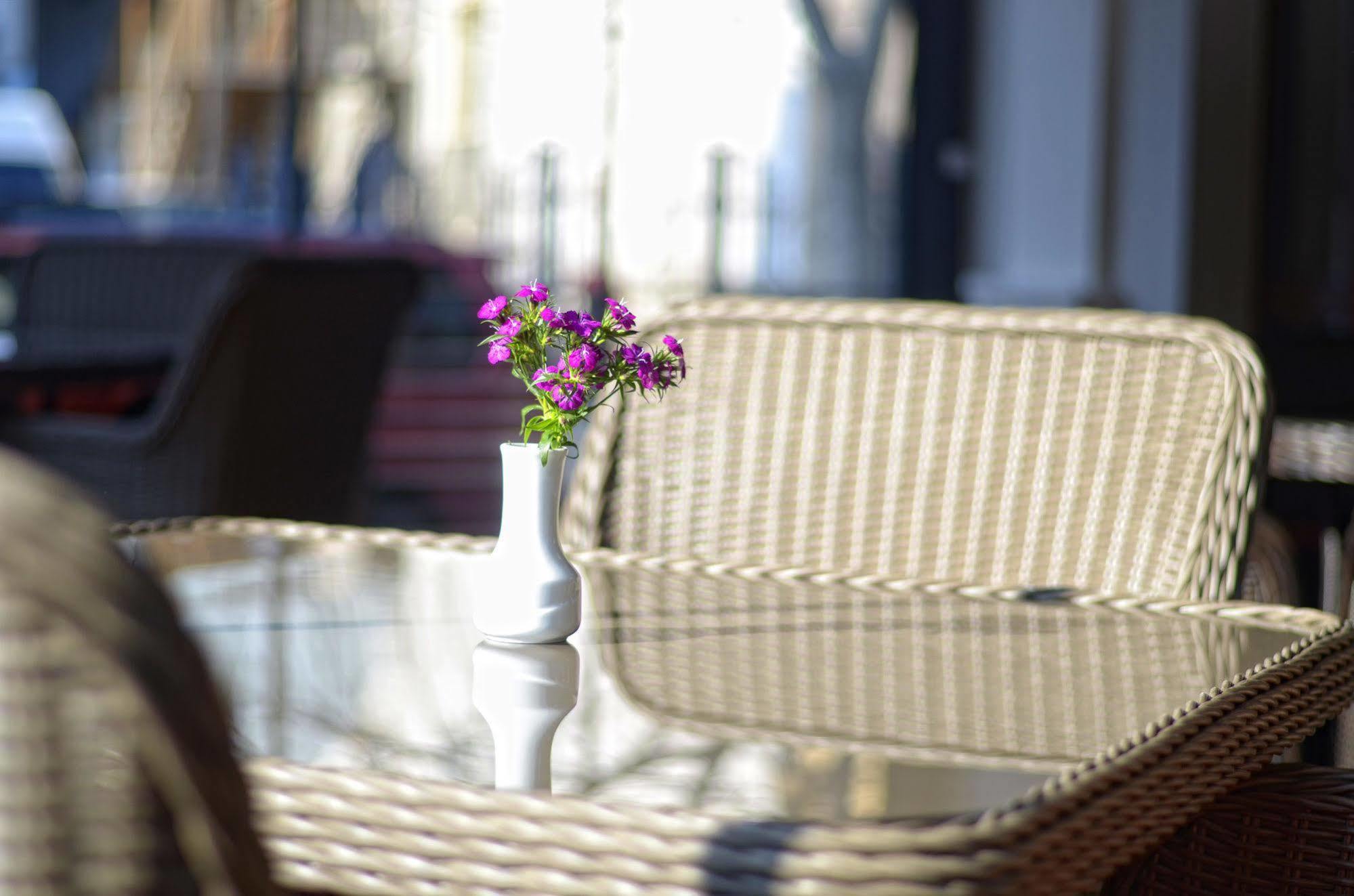 City Avenue Hotel Hotel